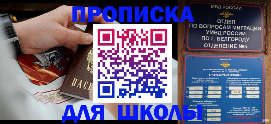 пропишу в квартире в Белой Холунице